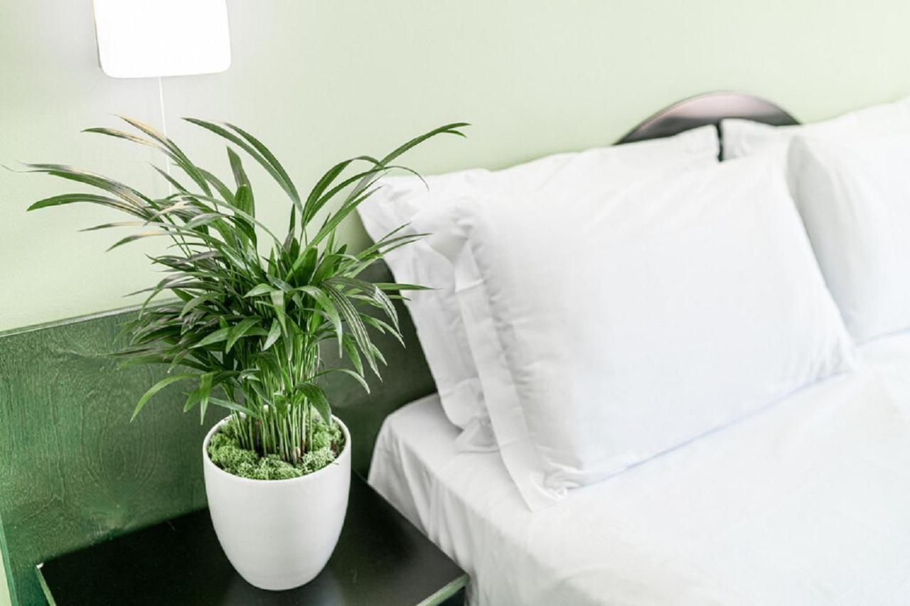 Hotel Medusa Splendid Λινιάνο Σαμπιαντόρο Εξωτερικό φωτογραφία